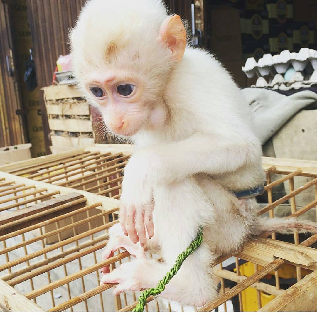 WhatsApp Image 2026 01 11 At 09.06.48