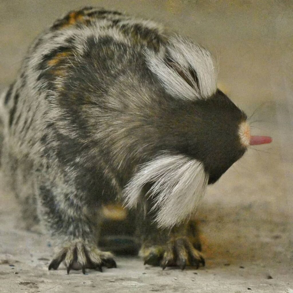 WhatsApp Image 2026 01 12 At 11.59.36 1 1024x1024